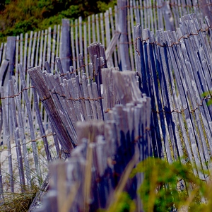 Clôtures en bois formant des vagues - France  - collection de photos clin d'oeil, catégorie clindoeil